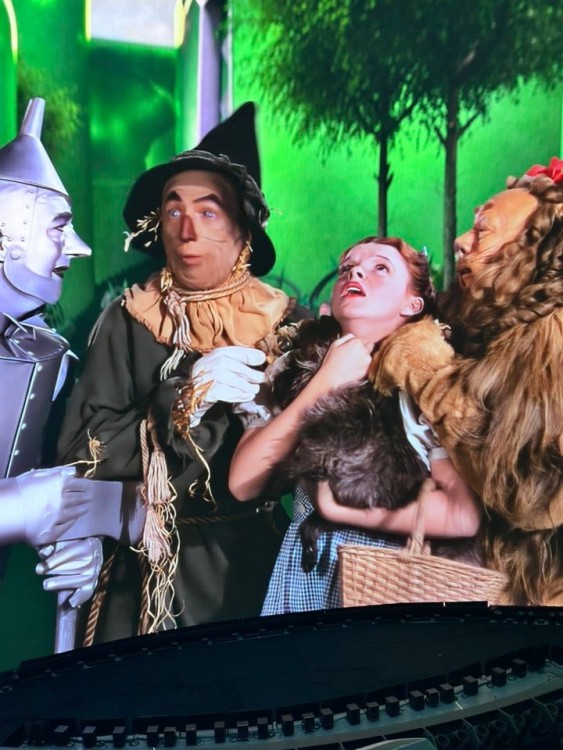 The cast