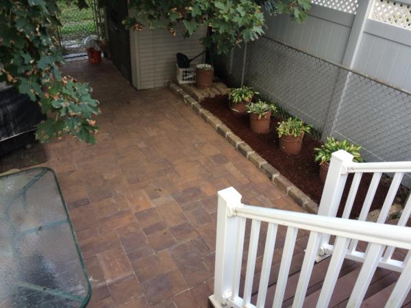 Patio by the shed