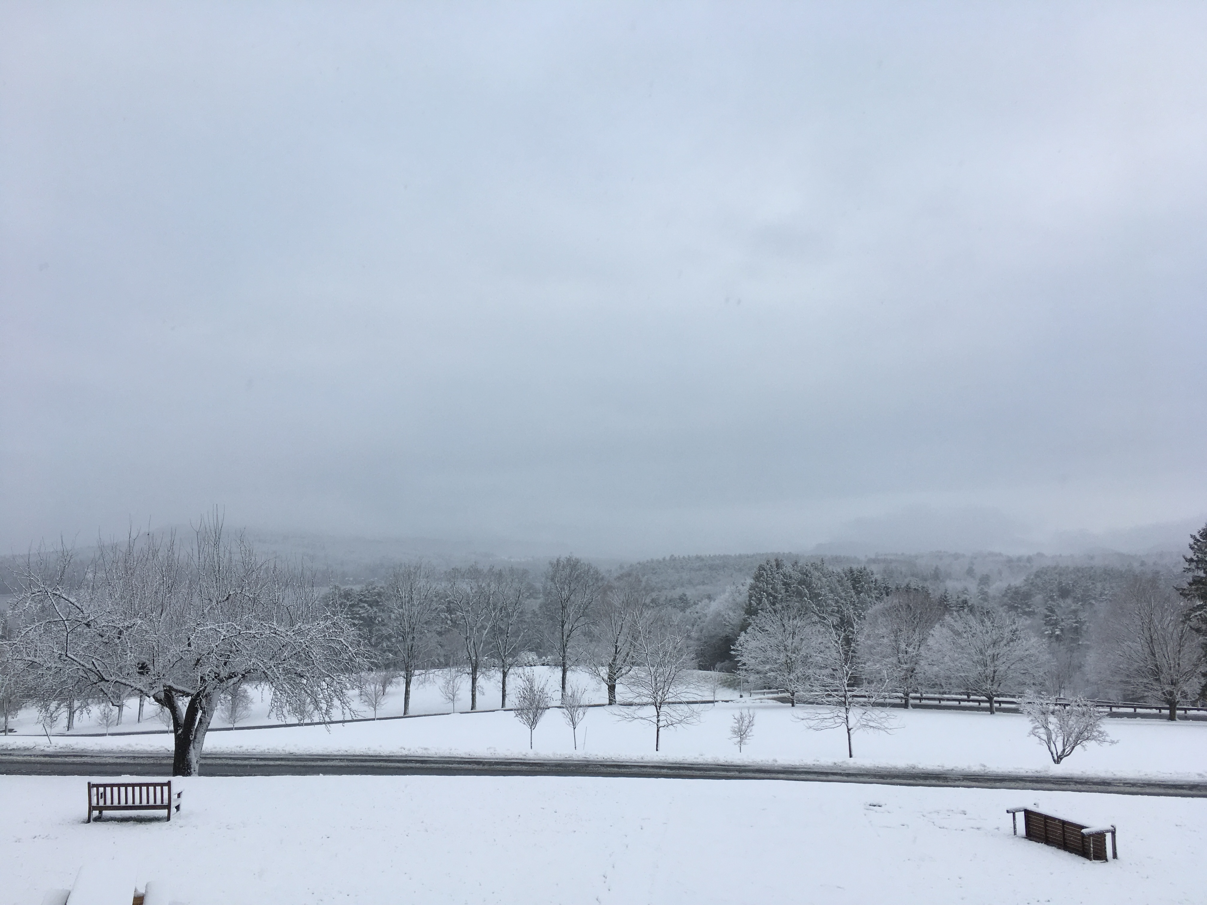 Kripalu Snow